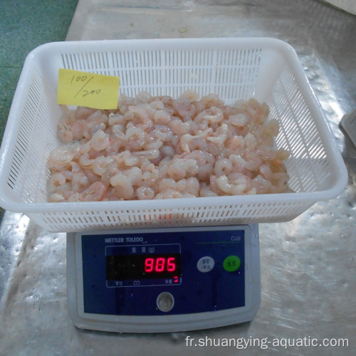 Crevettes rouges argentines congelées avec un vitrage de 30 à 50%